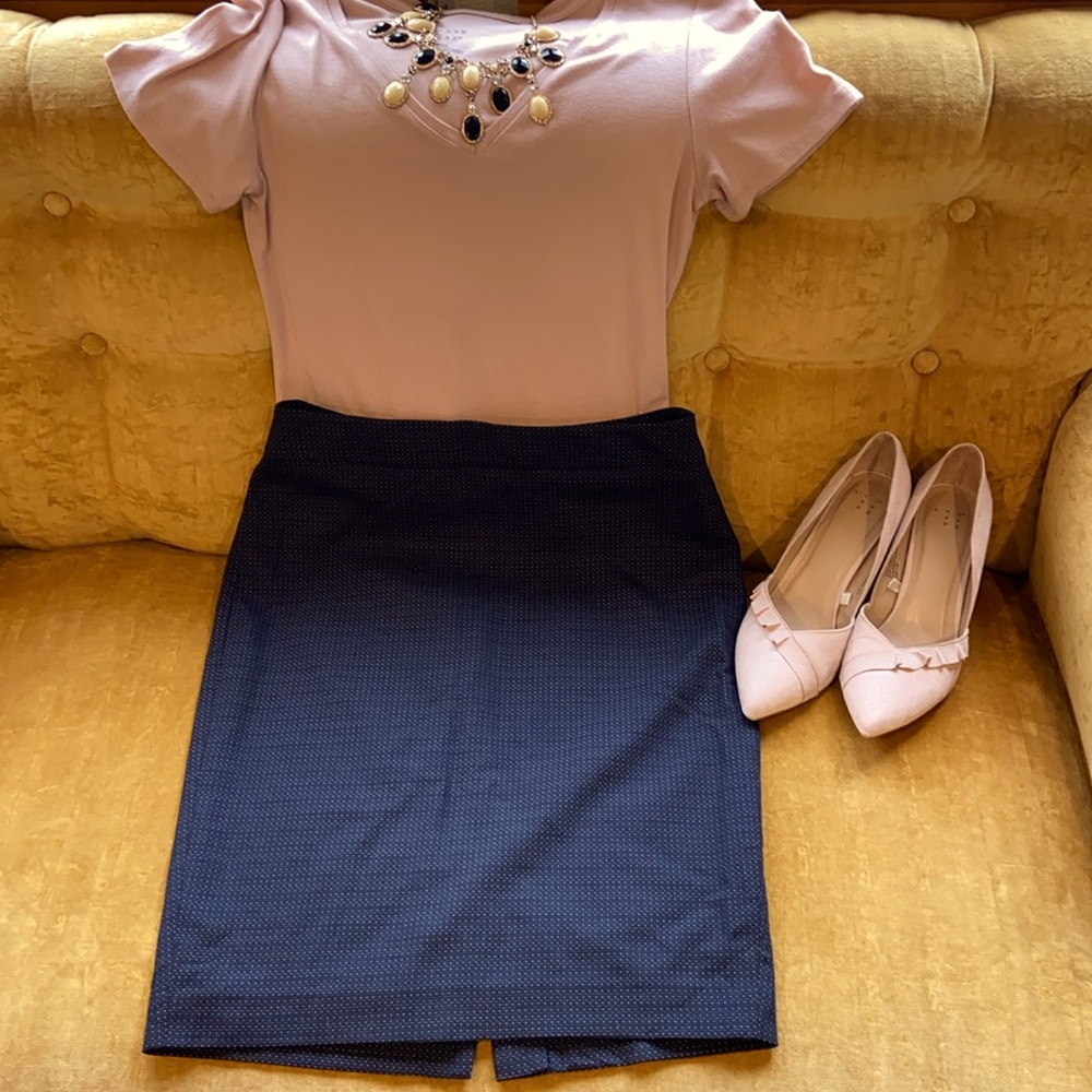 Ann Taylor Loft Pencil Skirt